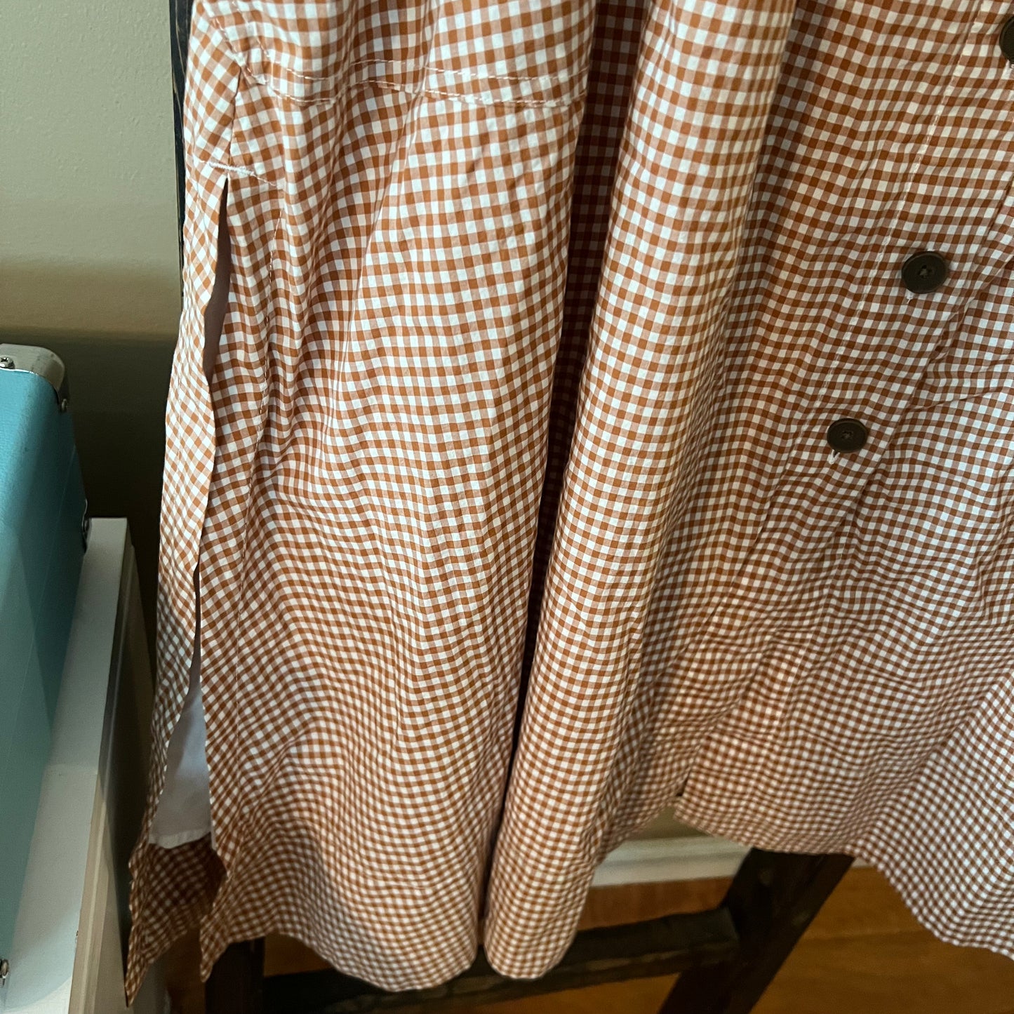 Everlane Gingham Maxi Skirt