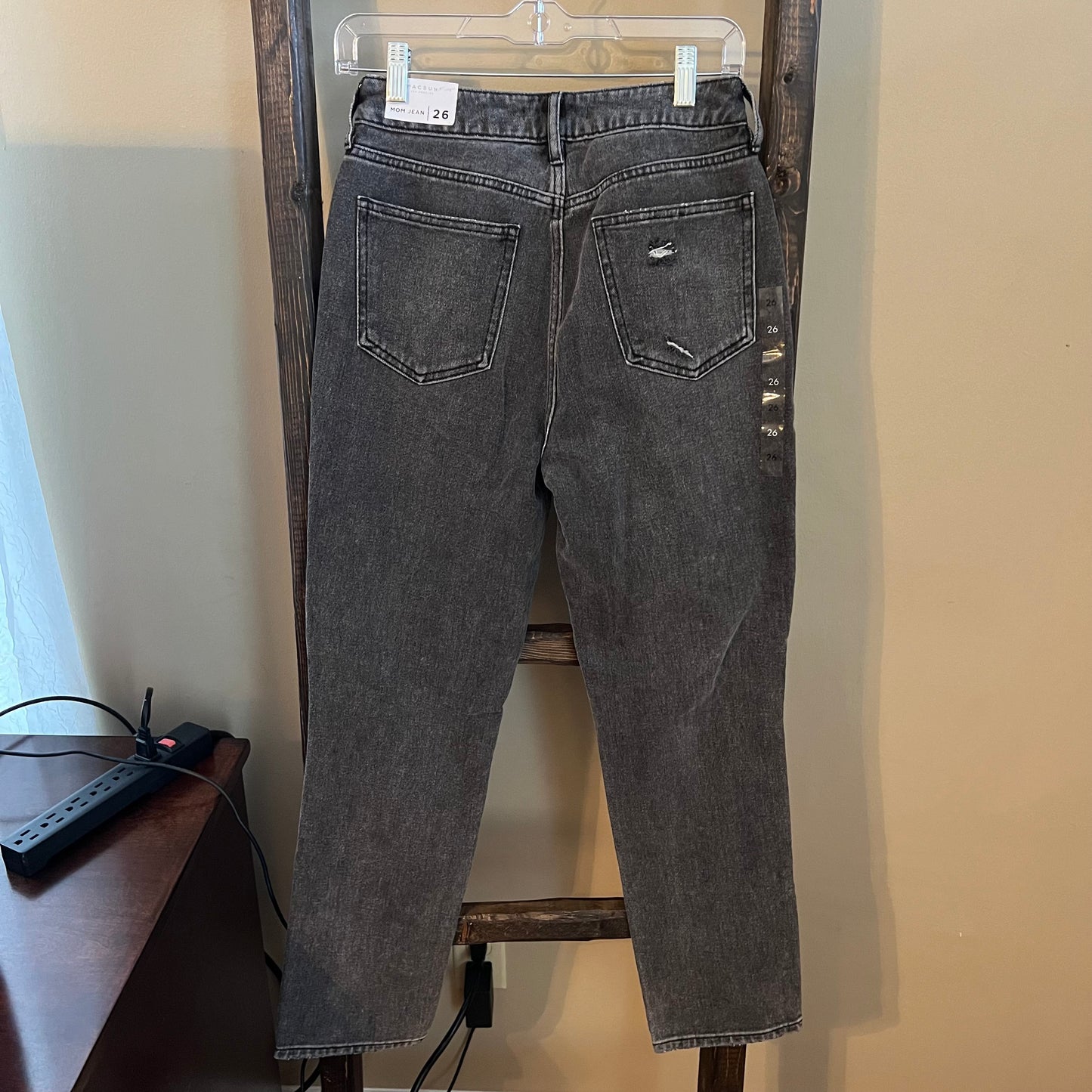 Size 26 PacSun Distressed Mom Jeans