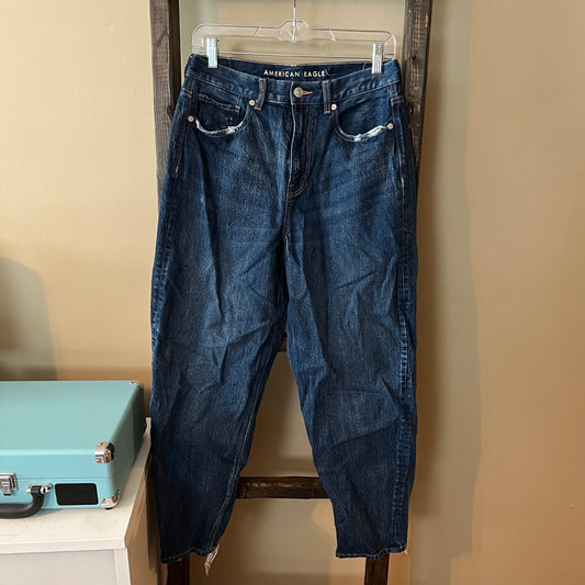 American Eagle Distressed Mom Jeans