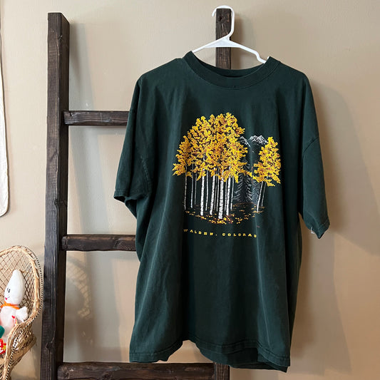 Vintage Walden Colorado Tee