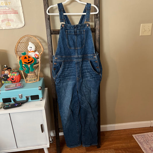 Size XL J Crew Straight Leg Overalls