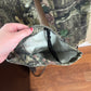 Size Small Break Up Infinity Mossy Oak Camo Pants